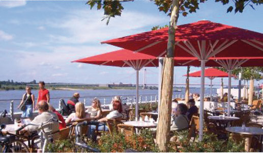 Terras