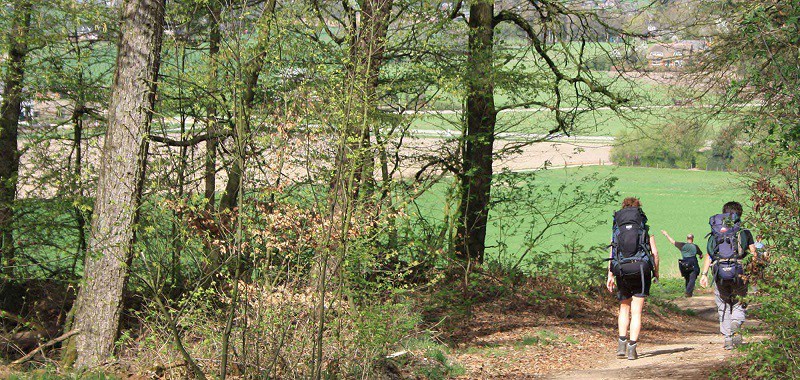wandelen-bosrand