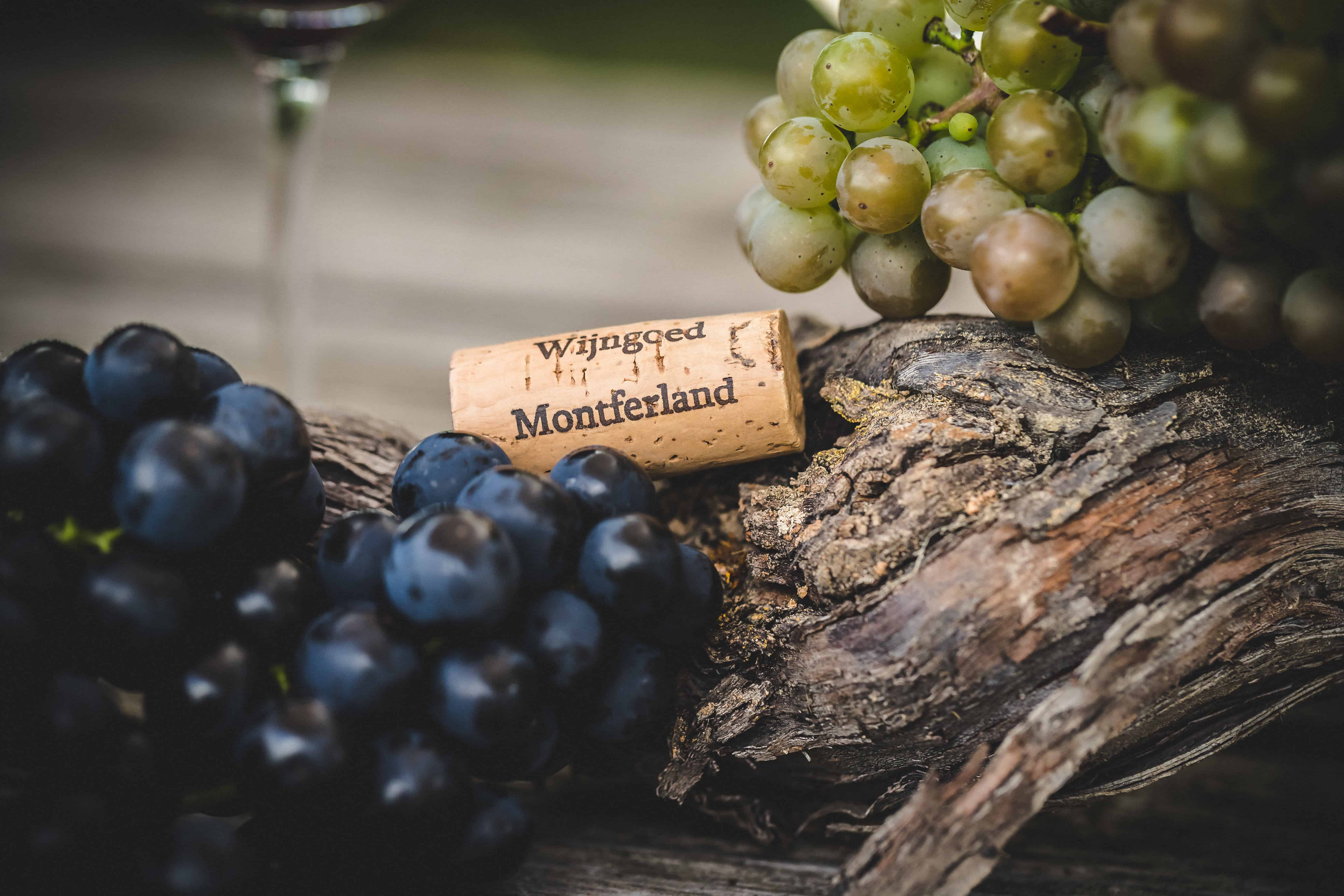 Wijngoed Montferland